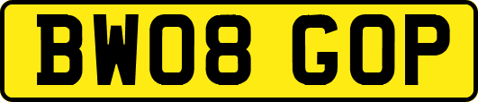 BW08GOP