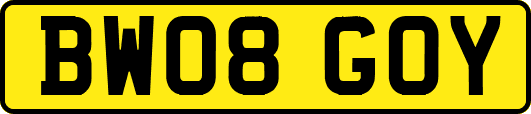 BW08GOY
