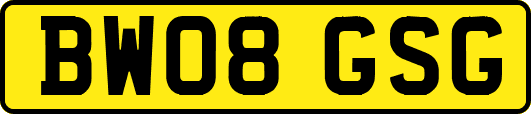 BW08GSG