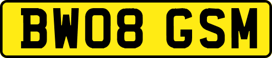 BW08GSM