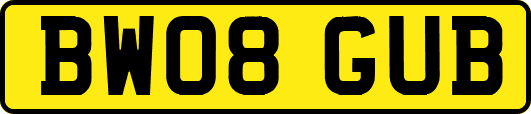 BW08GUB