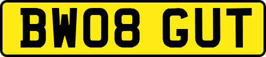 BW08GUT