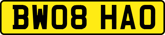 BW08HAO