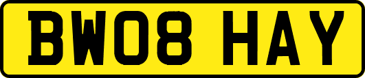 BW08HAY