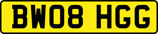 BW08HGG