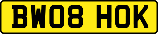BW08HOK