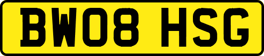 BW08HSG