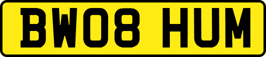 BW08HUM