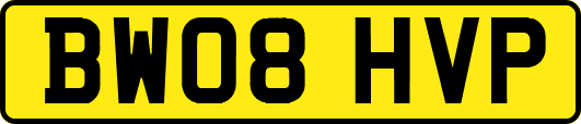 BW08HVP