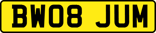 BW08JUM