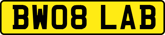 BW08LAB