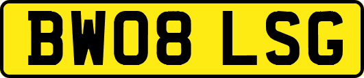 BW08LSG