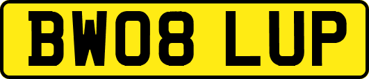 BW08LUP