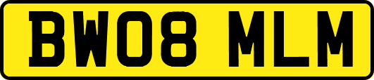 BW08MLM