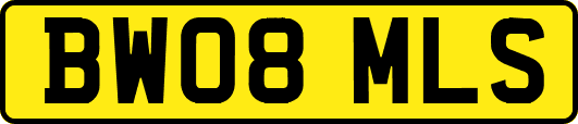 BW08MLS