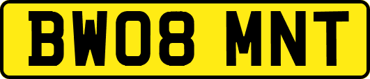 BW08MNT