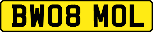 BW08MOL