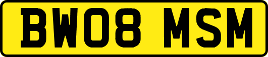 BW08MSM