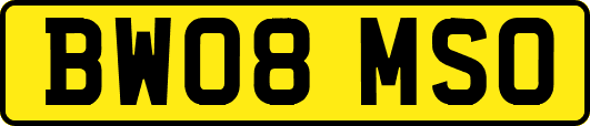 BW08MSO