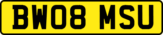 BW08MSU