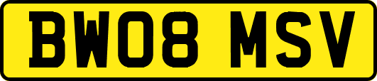 BW08MSV