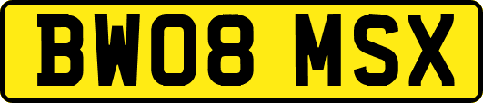 BW08MSX