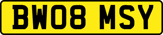 BW08MSY