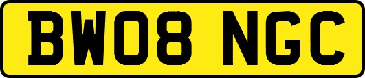 BW08NGC