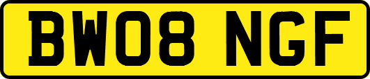BW08NGF