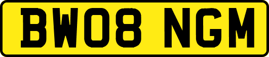 BW08NGM