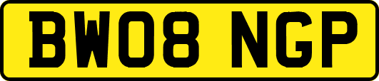 BW08NGP