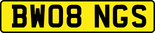 BW08NGS