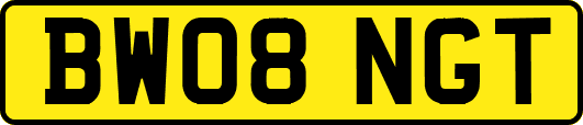 BW08NGT