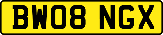 BW08NGX