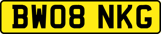 BW08NKG