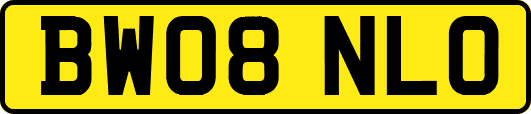 BW08NLO