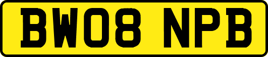 BW08NPB
