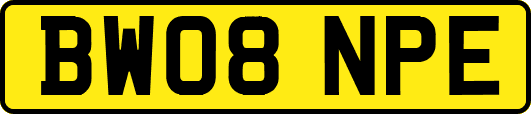 BW08NPE