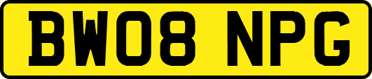 BW08NPG