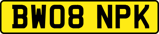 BW08NPK