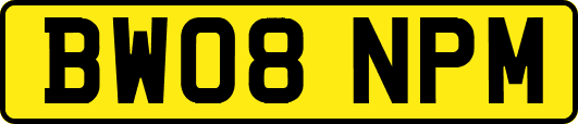 BW08NPM