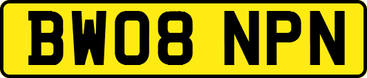 BW08NPN