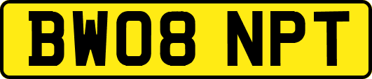 BW08NPT