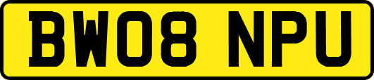 BW08NPU