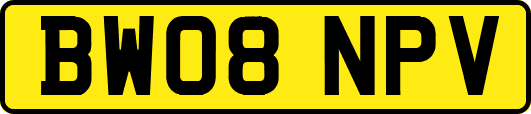 BW08NPV