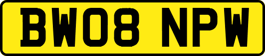BW08NPW