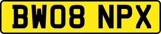 BW08NPX
