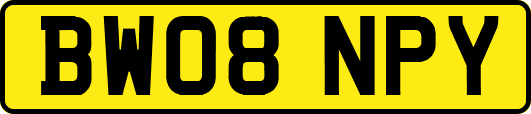 BW08NPY
