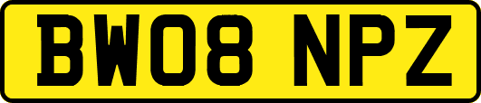 BW08NPZ