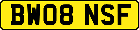 BW08NSF